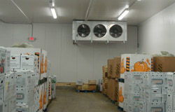 walk-in freezer